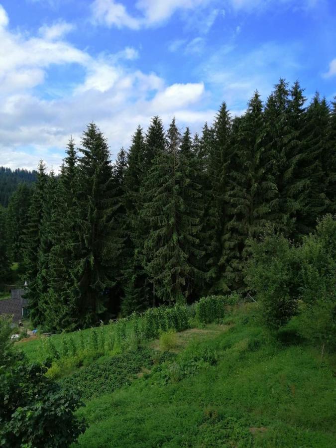 Marichka Hotel Jablunicja Kültér fotó